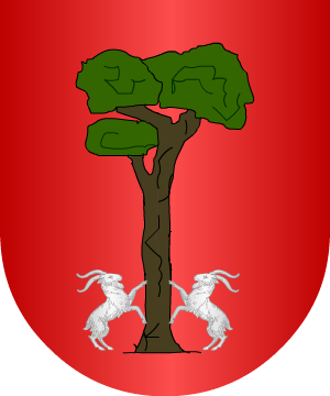 ESCUDO SIGUIENTE